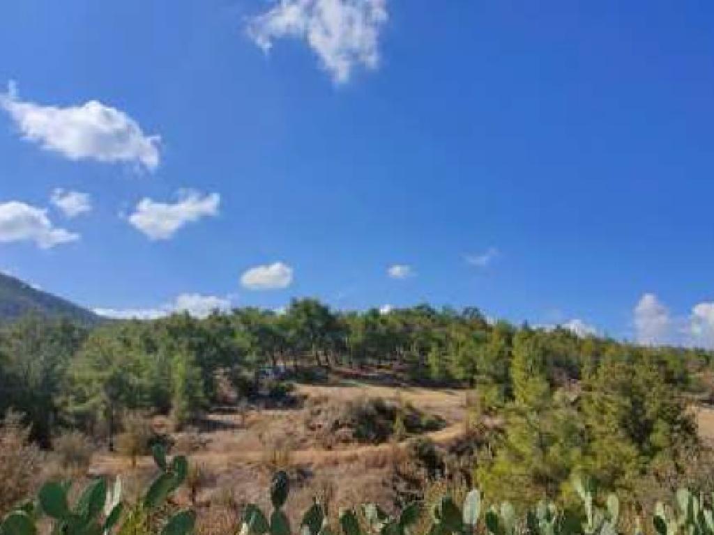 Field-Nikitari-PR39626