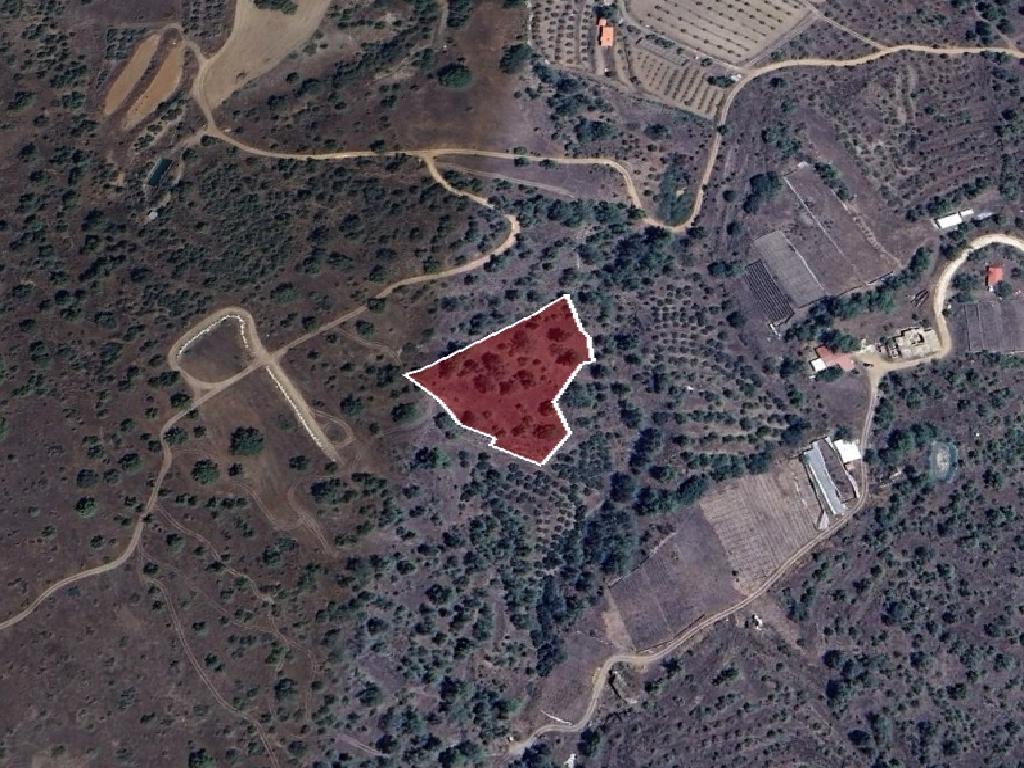 Field-Nikitari-PR39626