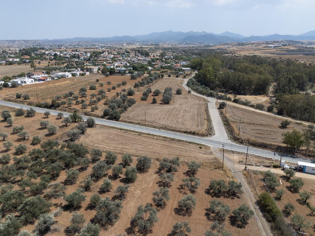 Field-Agios Ioannis-PR39567