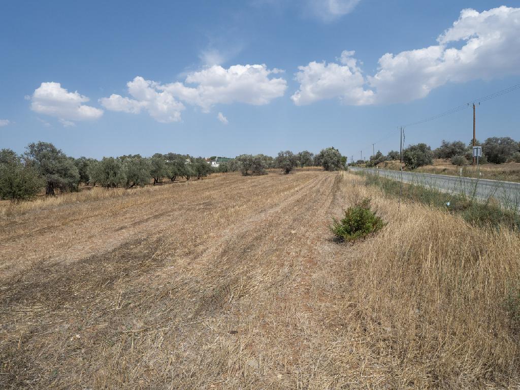 Field-Agios Ioannis-PR39567