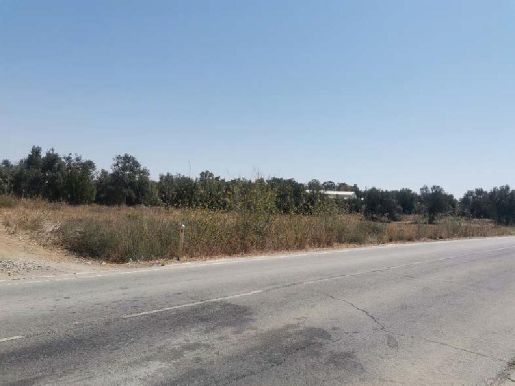 Field (Share) - Agios Ioannis, Nicosia