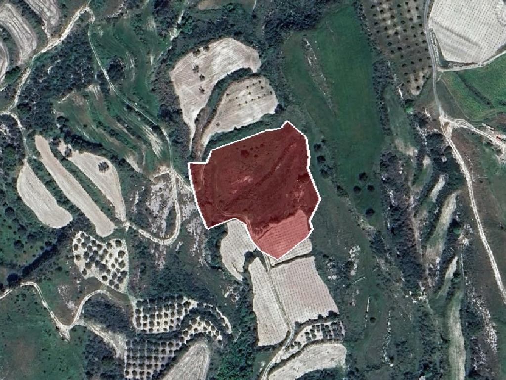 Field-Stroumpi-PR40877