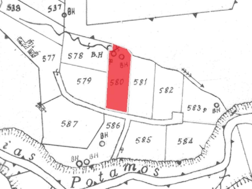 Field-Lithrodontas-PR40953