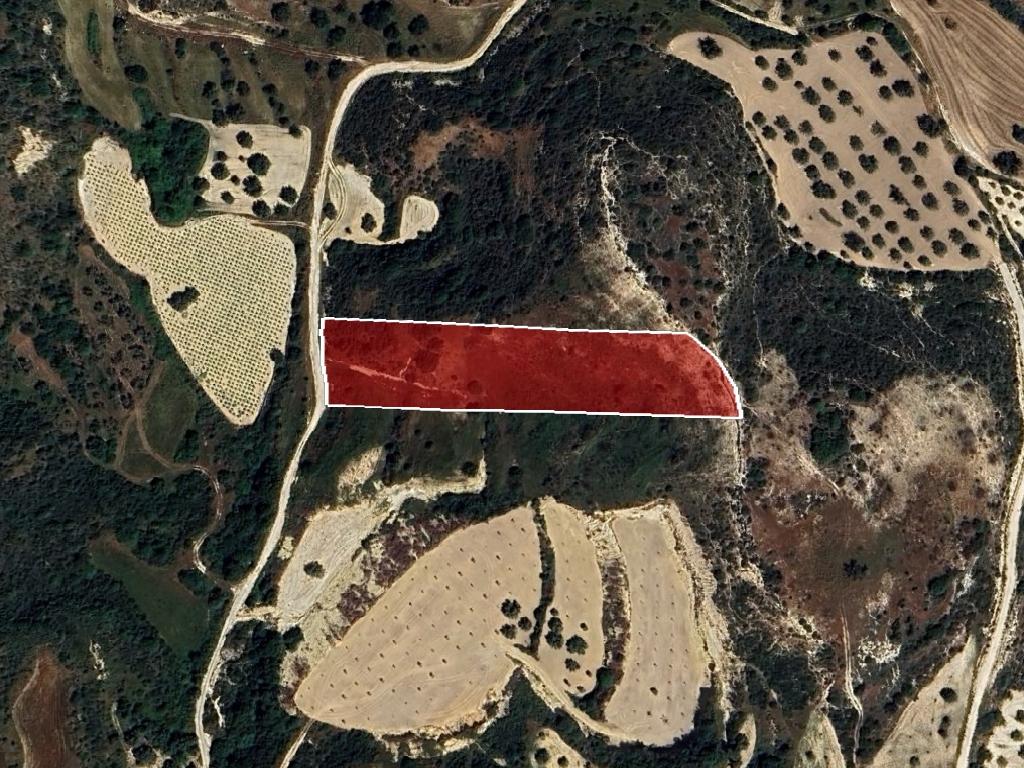 Field-Drouseia-PR41287
