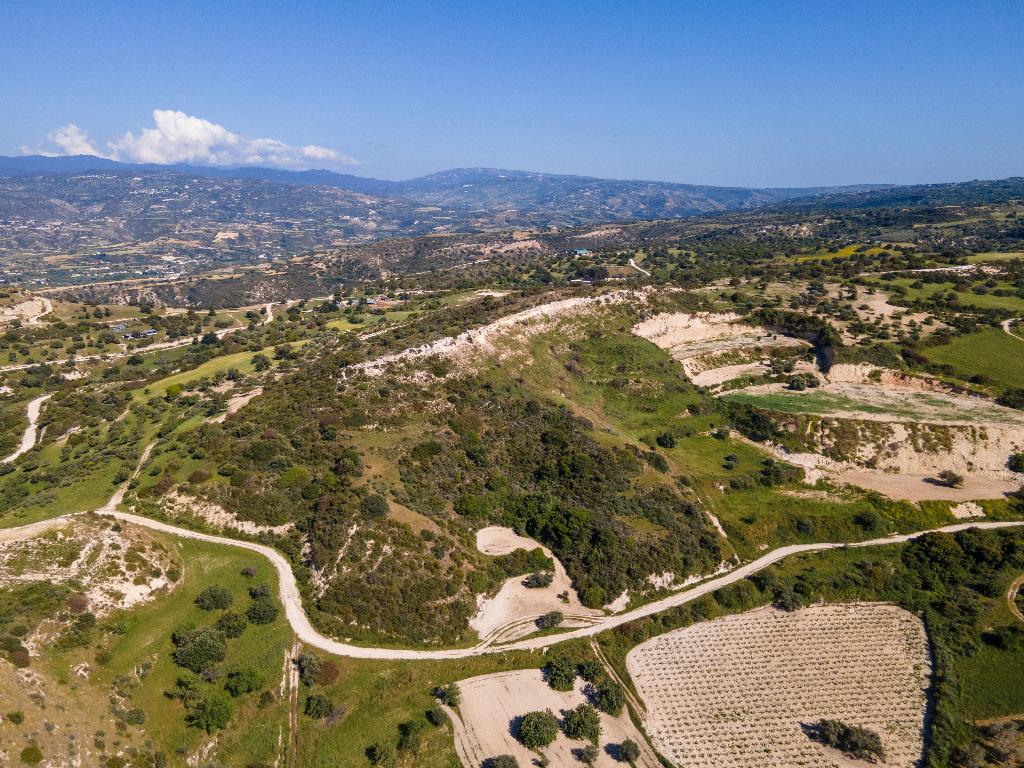 Field-Drouseia-PR41287