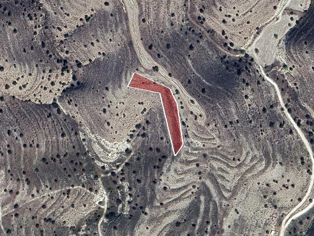 Field-Agia Anna-PR41566