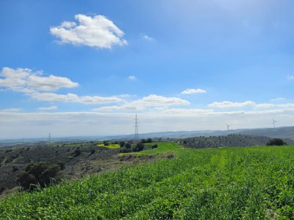 Field-Agia Anna-PR41566