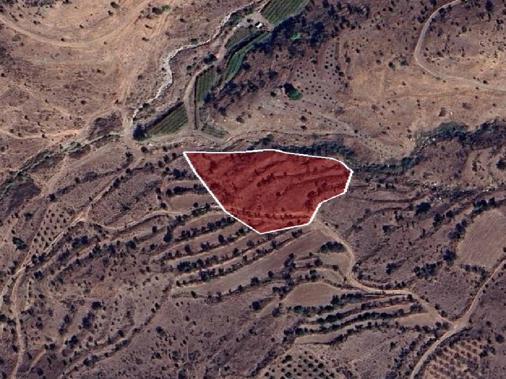 Field-Pentalia-PR42003