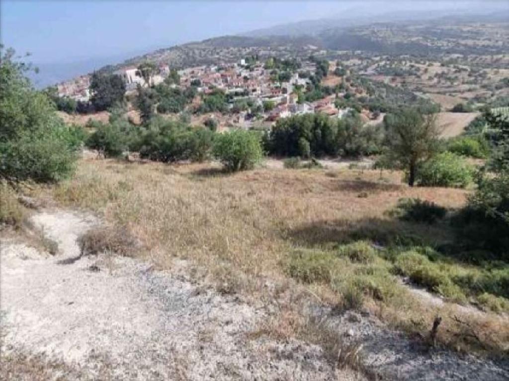 &Chi;&omega;&rho;ά&phi;&iota; - &Delta;&omega;&rho;ά, &Lambda;&epsilon;&mu;&epsilon;&sigma;ό&sigmaf;