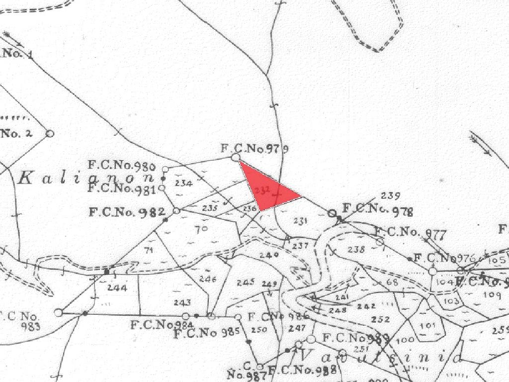 Field-Kaliana-PR42424