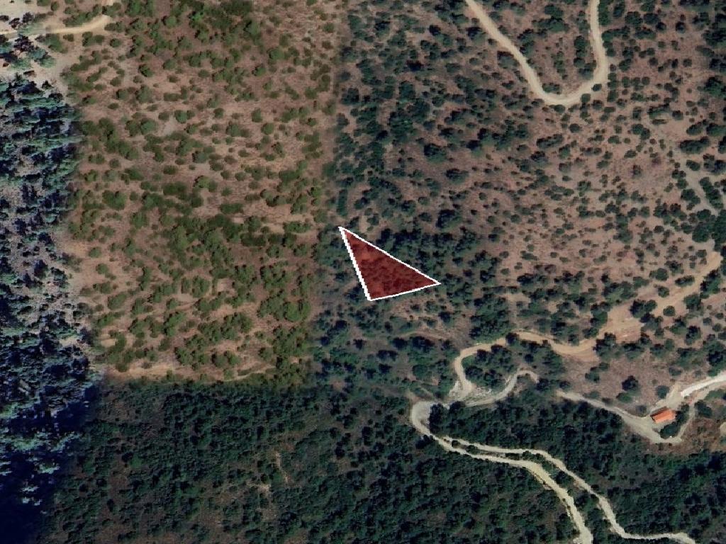 Field-Kaliana-PR42424