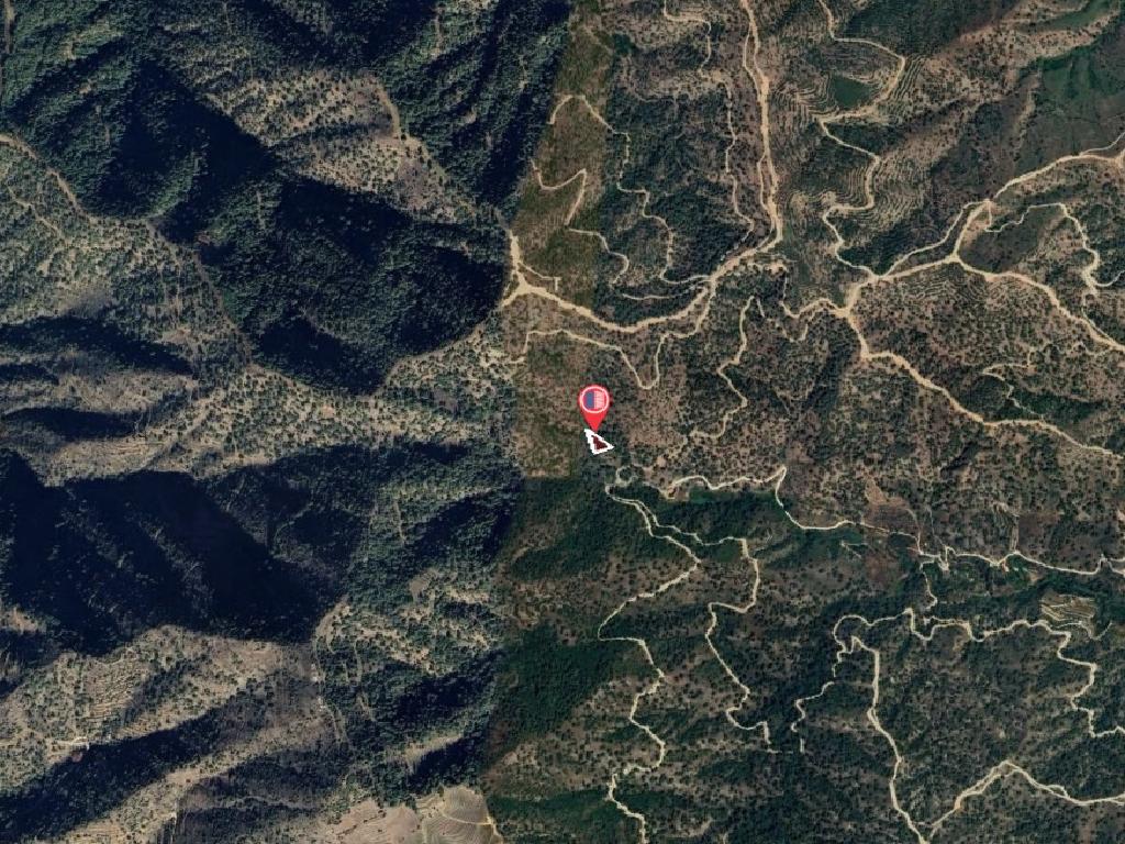 Field-Kaliana-PR42424
