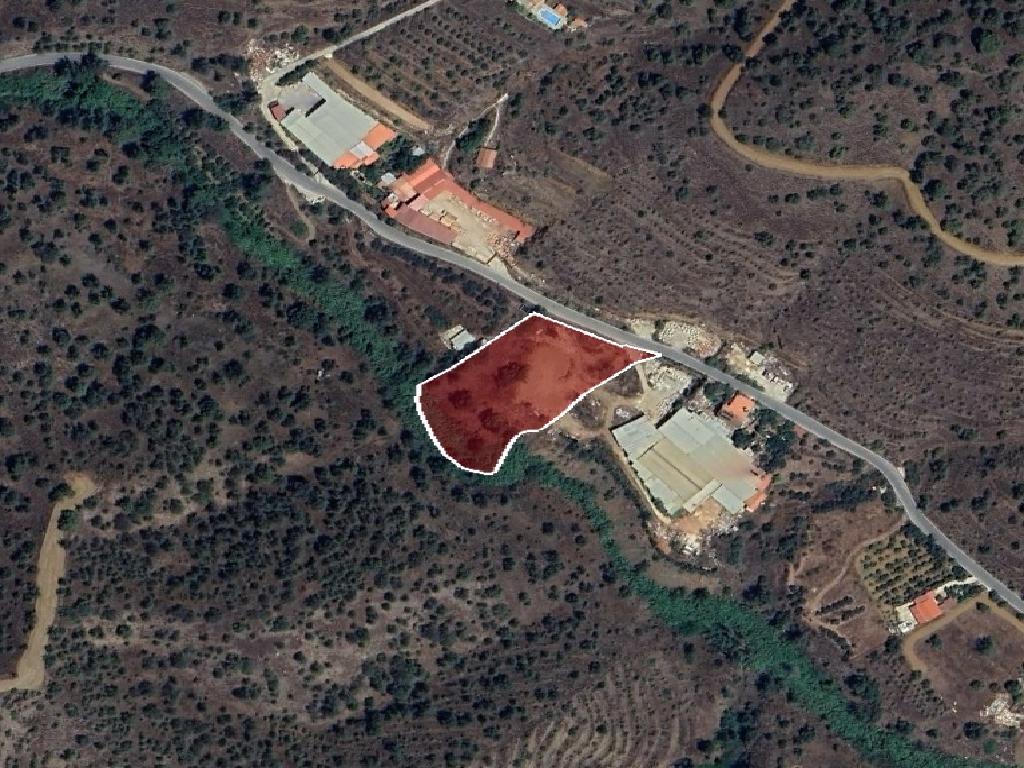 Field-Agios Theodoros (Soleas)-PR42455