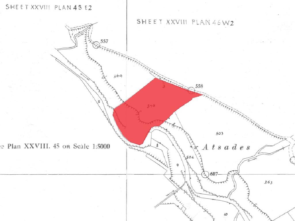 Field-Agios Theodoros (Soleas)-PR42455