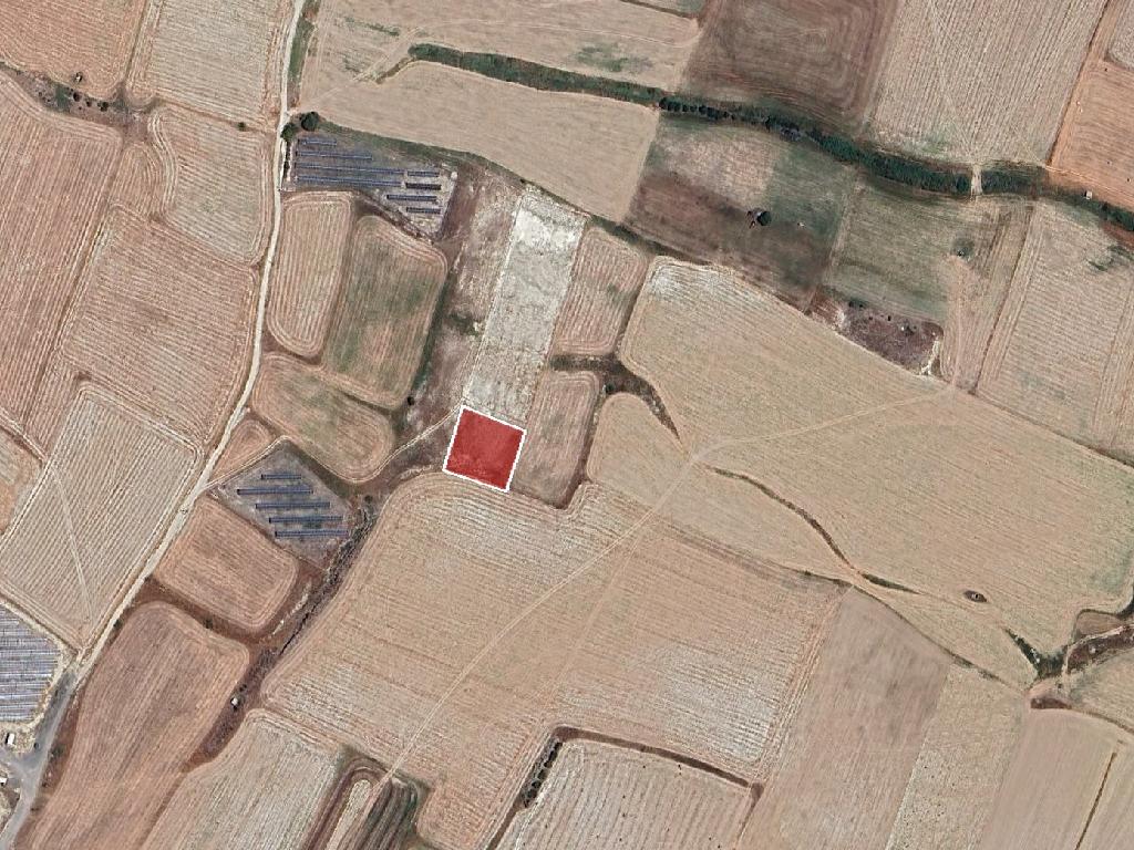 Field (share) - Dromolaxia / Meneou, Larnaca