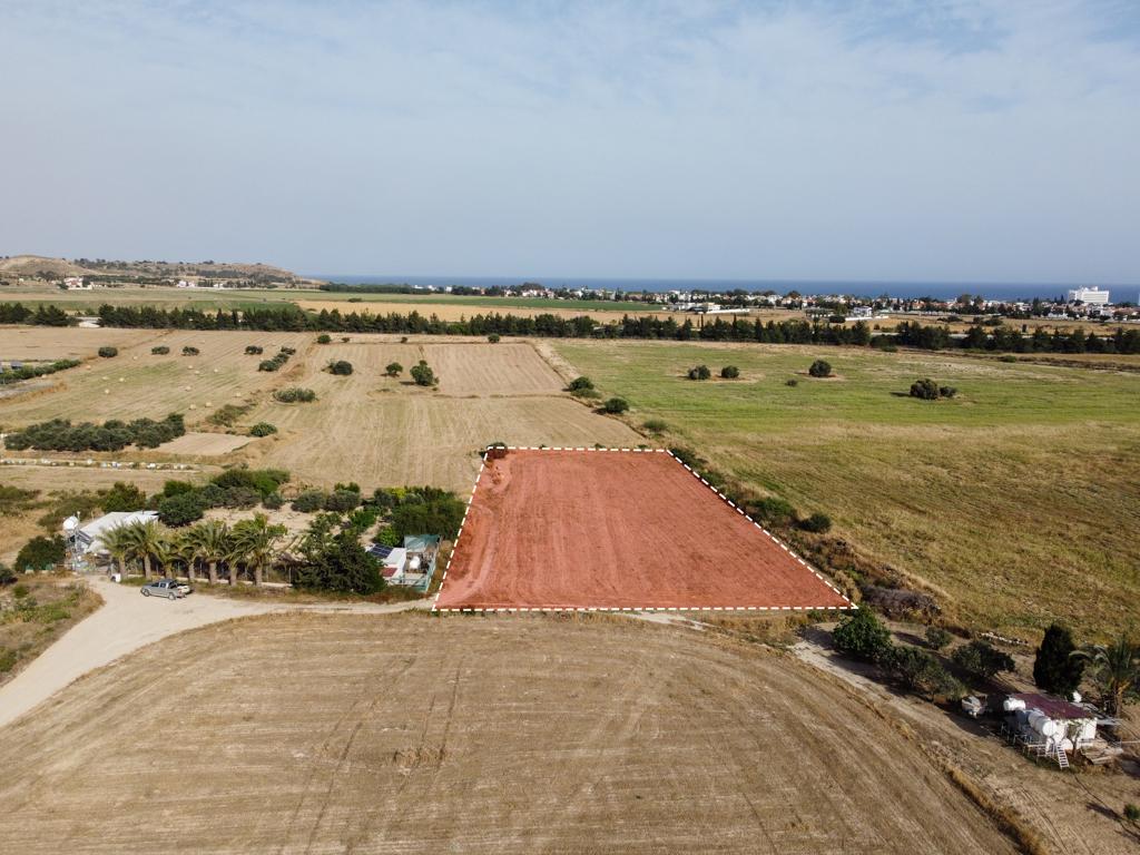 Field - Pyla, Larnaca