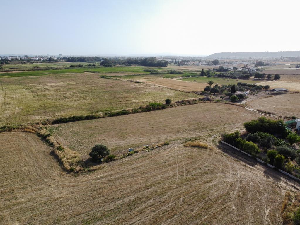 Field-Pyla-PR12613