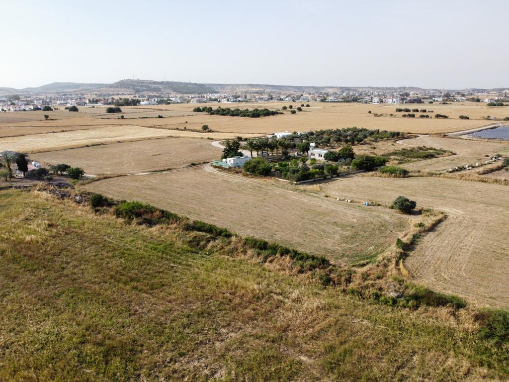 Field-Pyla-PR12613