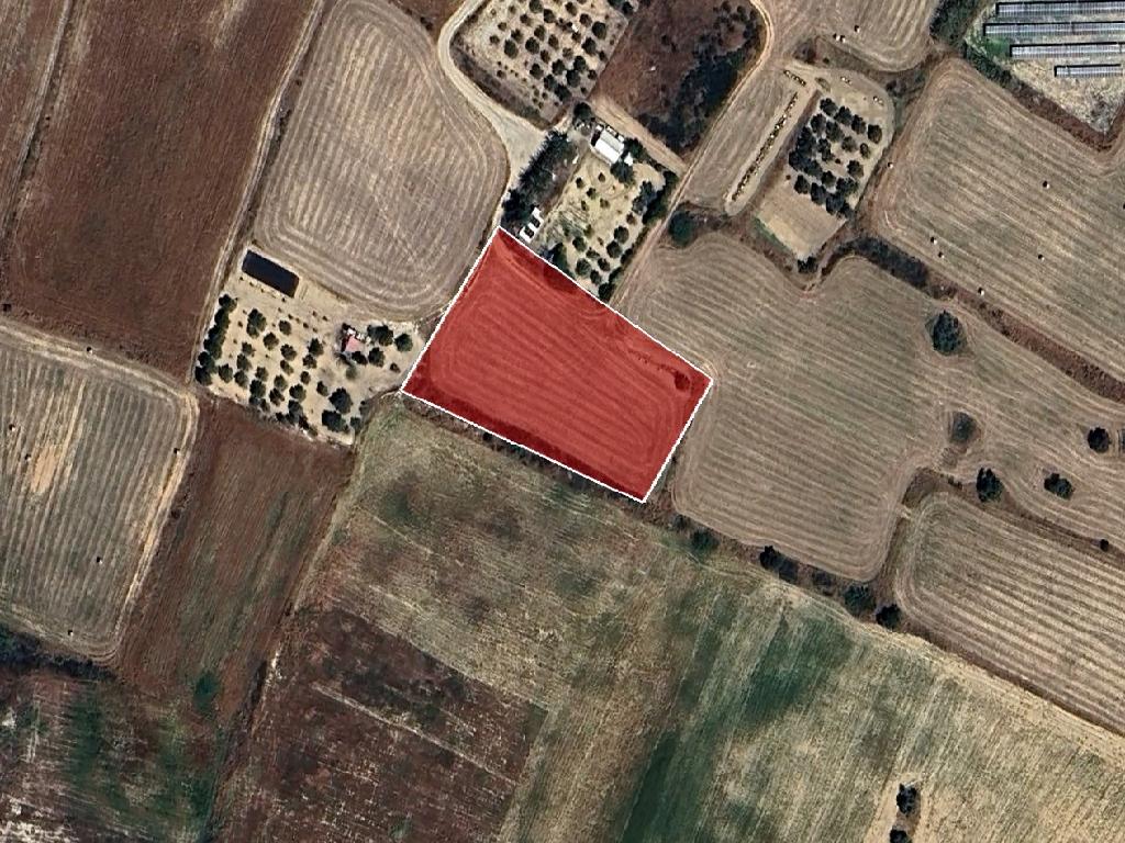 Field-Pyla-PR12613