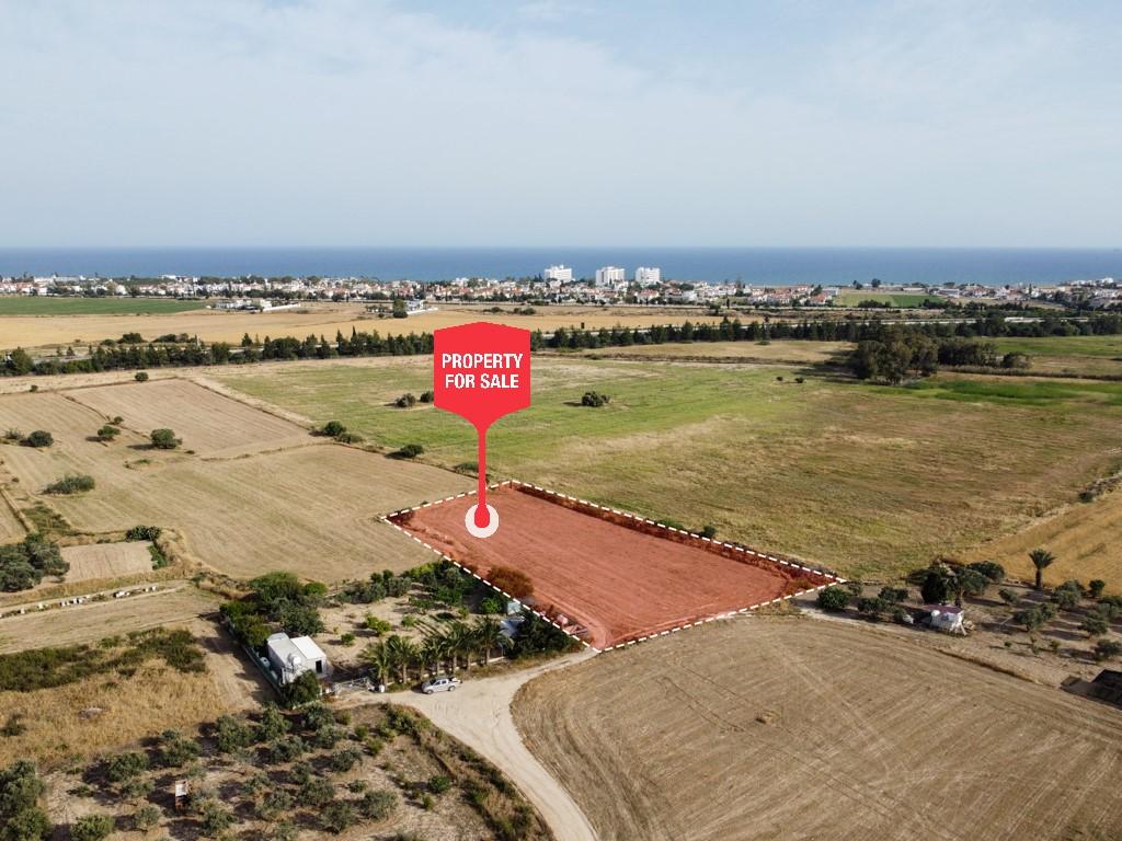 Field-Pyla-PR12613
