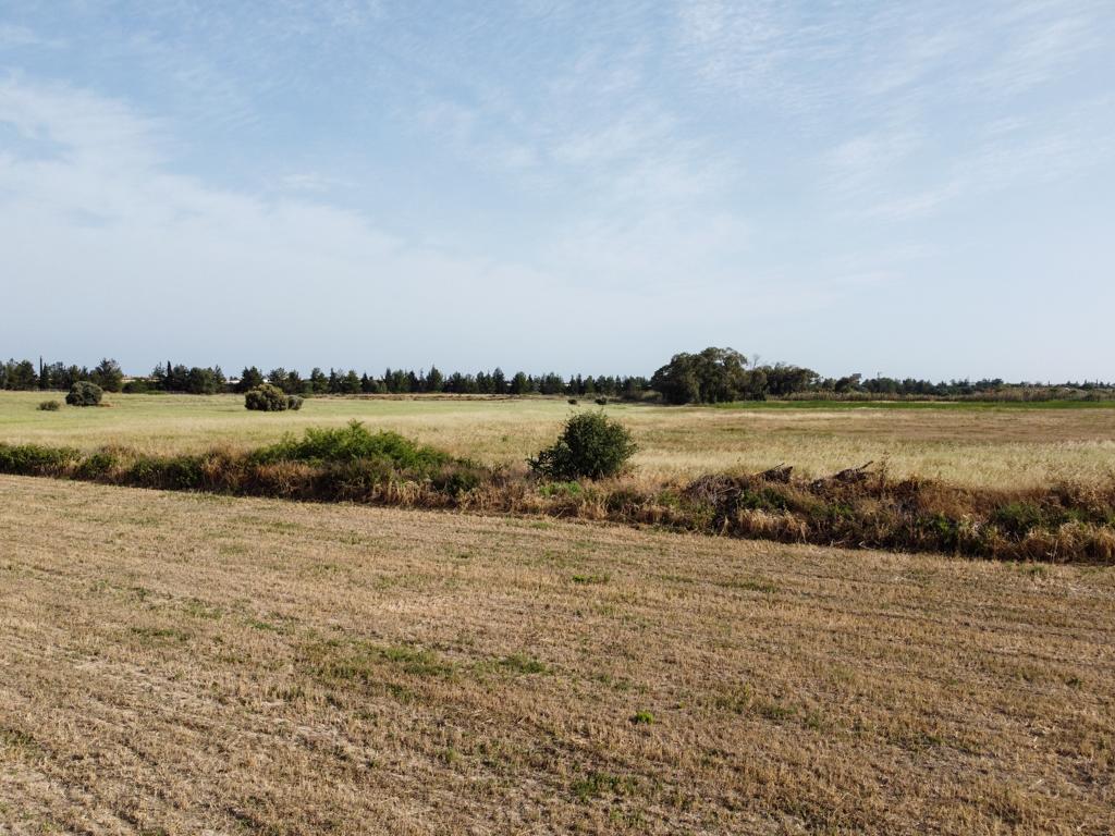 Field-Pyla-PR12613