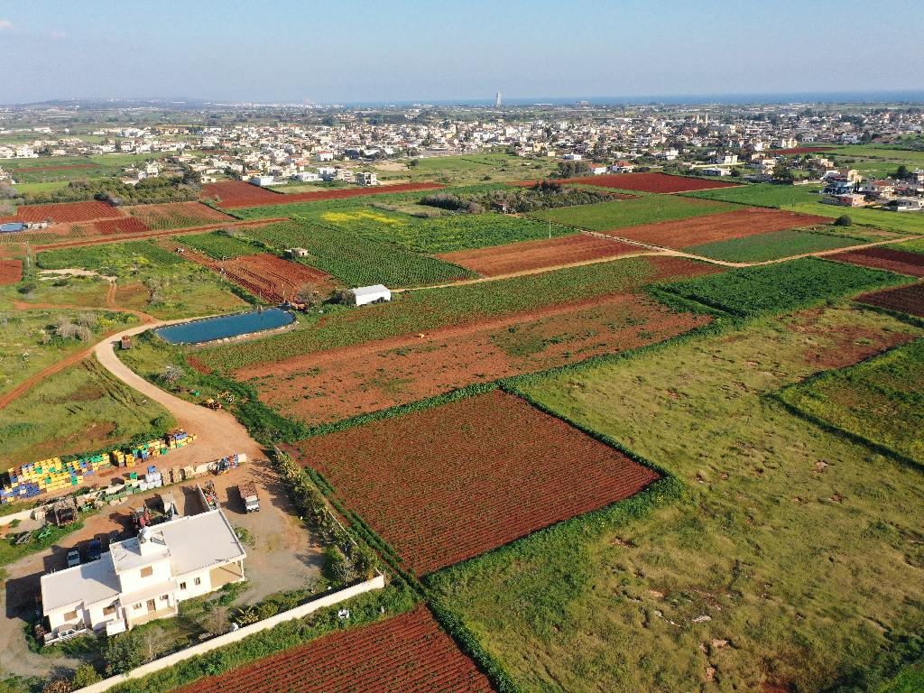 Field-Liopetri-PR14962