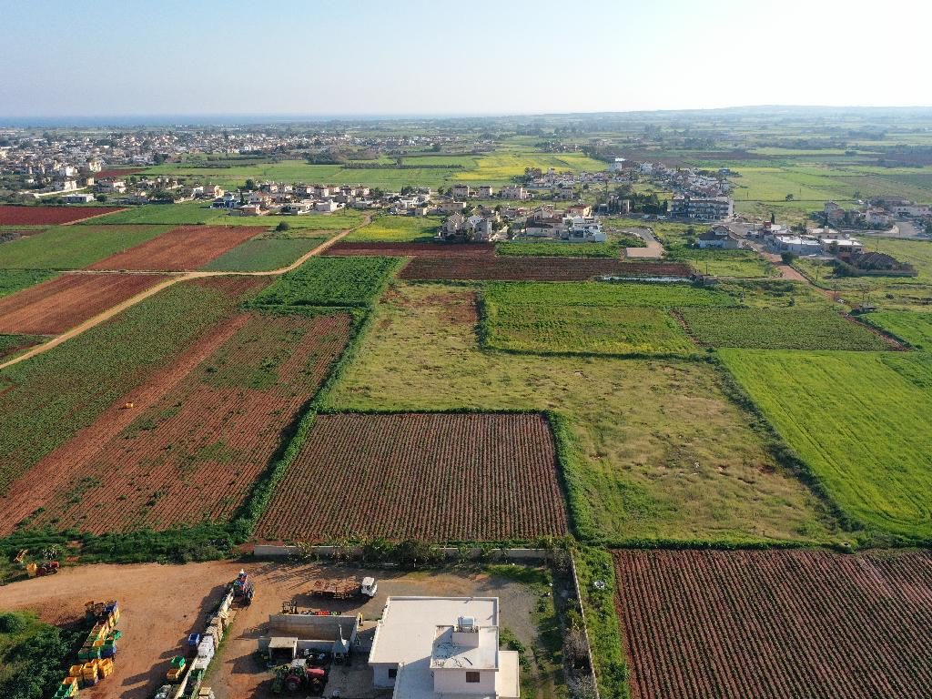 Field-Liopetri-PR14962