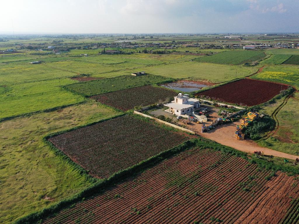 Field-Liopetri-PR14962