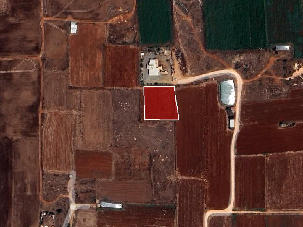 Field-Liopetri-PR14962