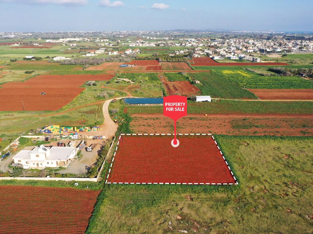 Field-Liopetri-PR14962
