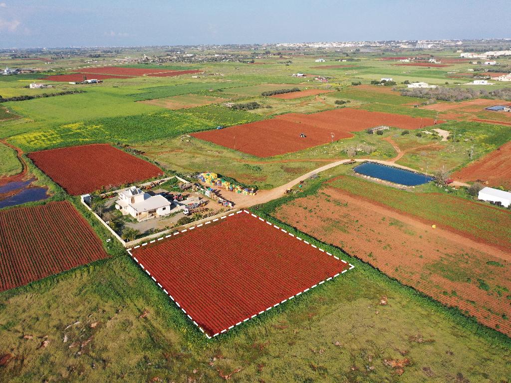 Field-Liopetri-PR14962
