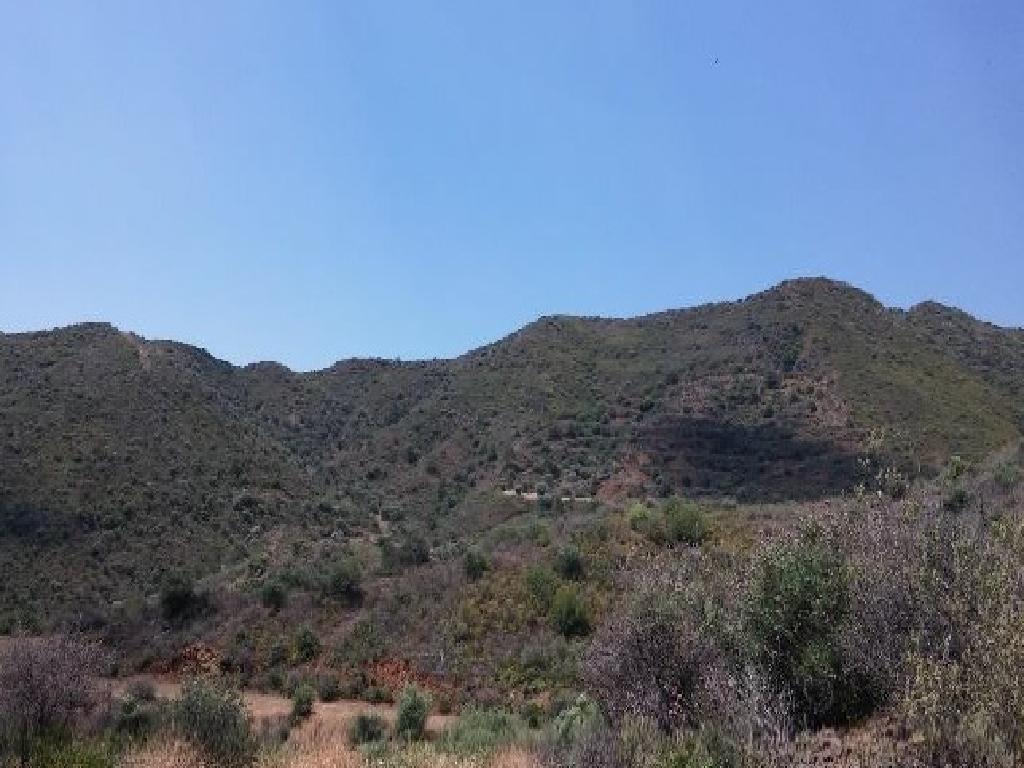 Field-Ora-PR13341