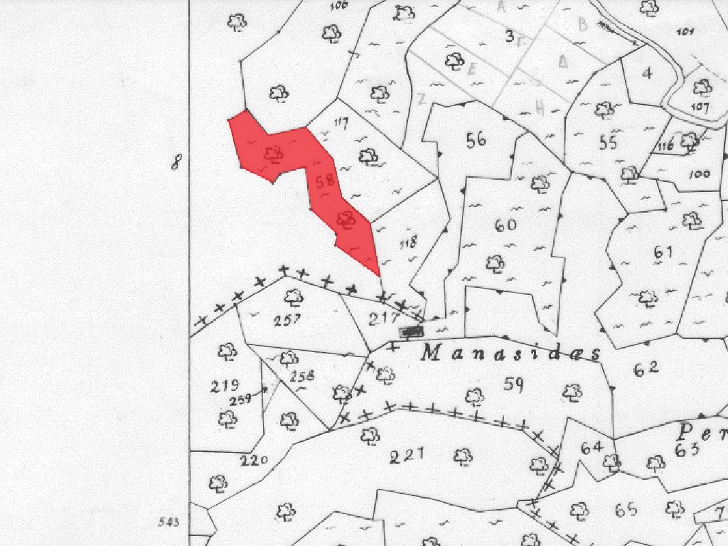 Field-Ora-PR13341