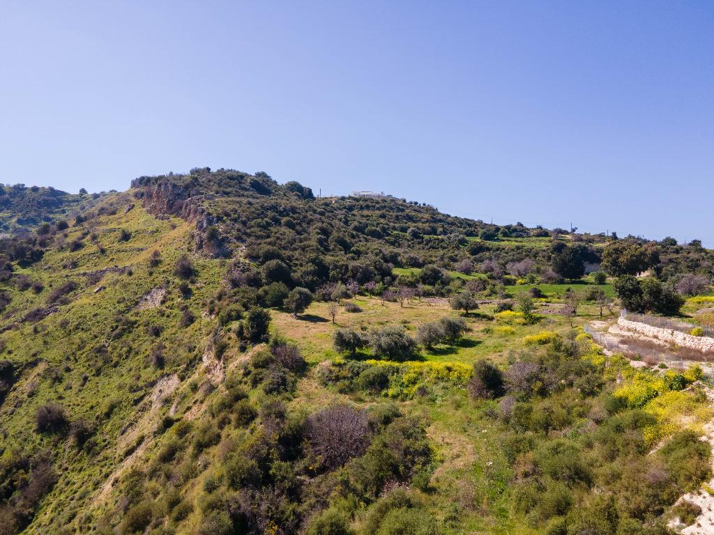 Field - Drouseia, Paphos