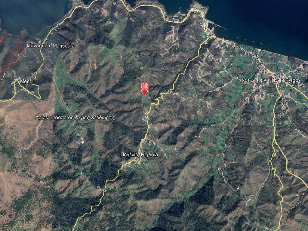 Field-Pigenia-PR34063
