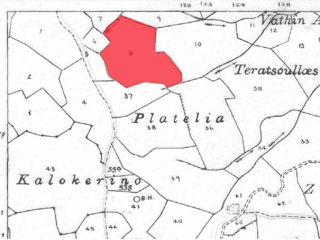 Field-Pigenia-PR34063