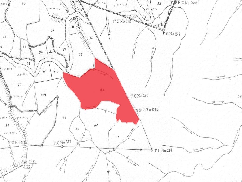 Field-Agios Theodoros (Soleas)-PR36345