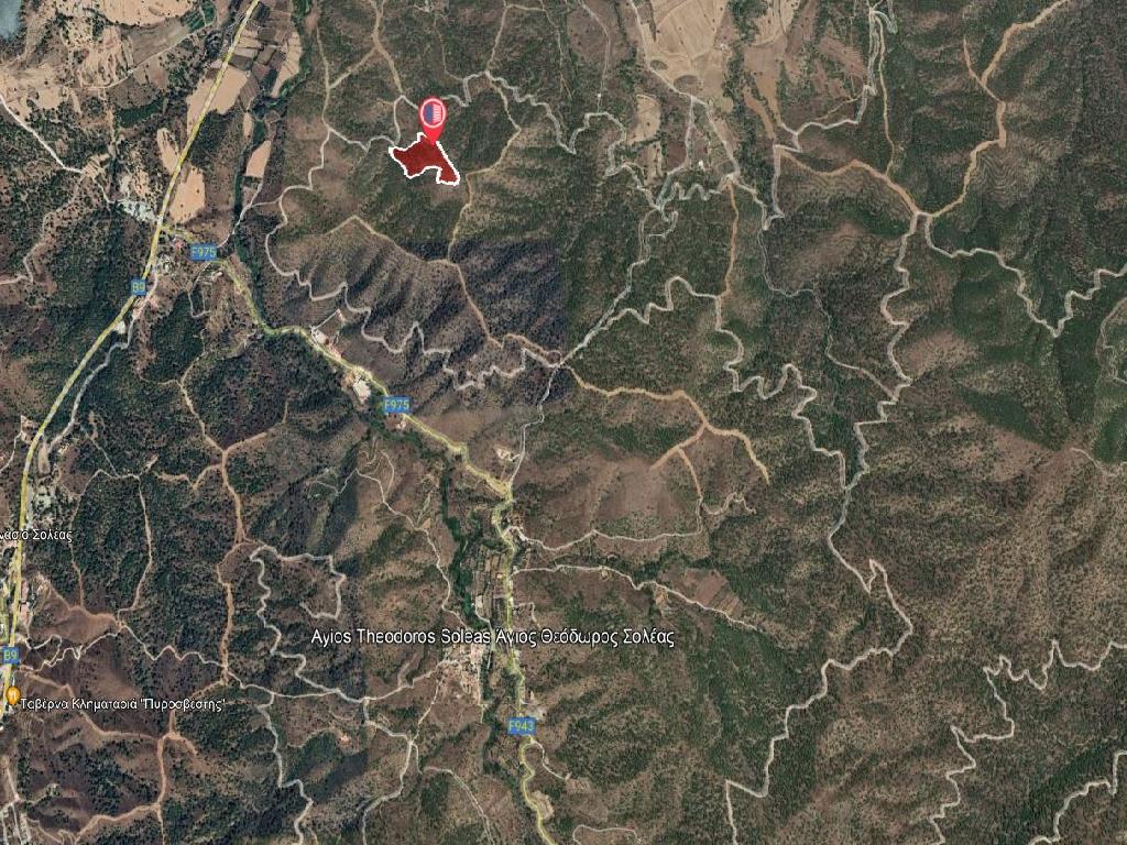 Field-Agios Theodoros (Soleas)-PR36345
