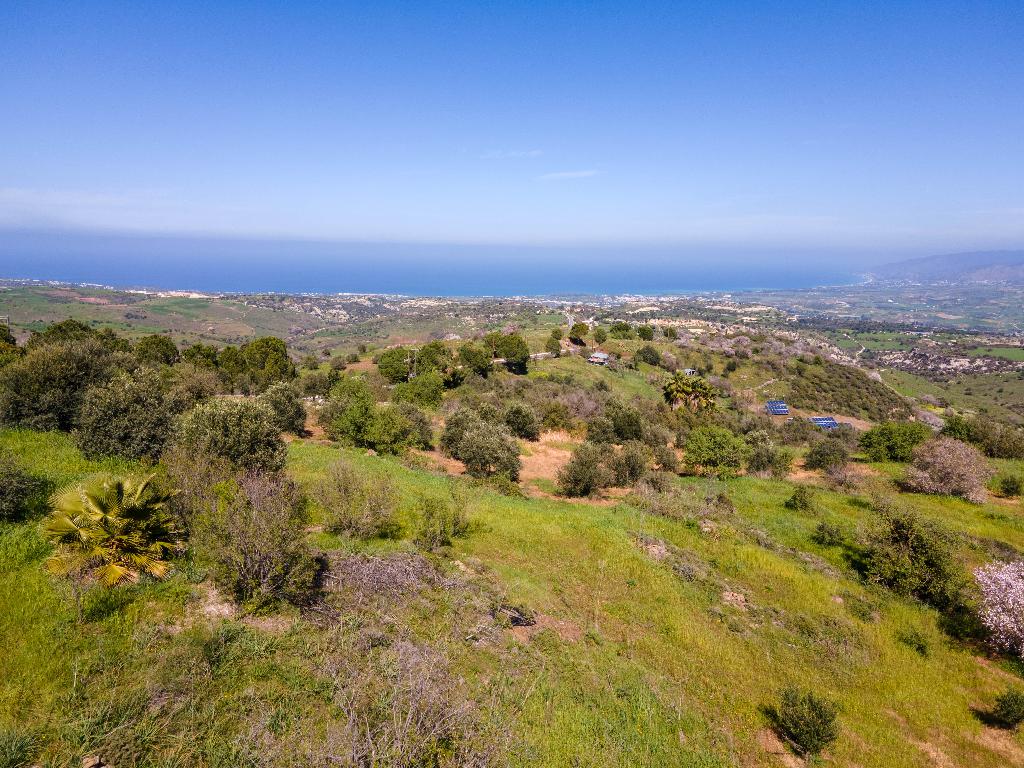 Field-Drouseia-PR36785