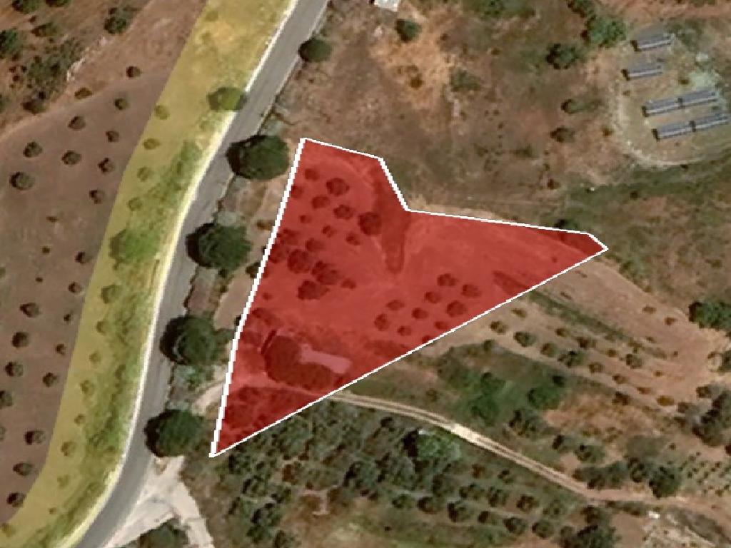 Field-Drouseia-PR36785