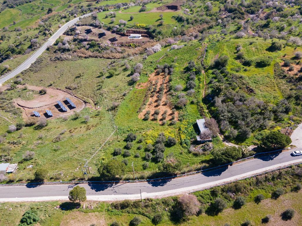 Field-Drouseia-PR36785
