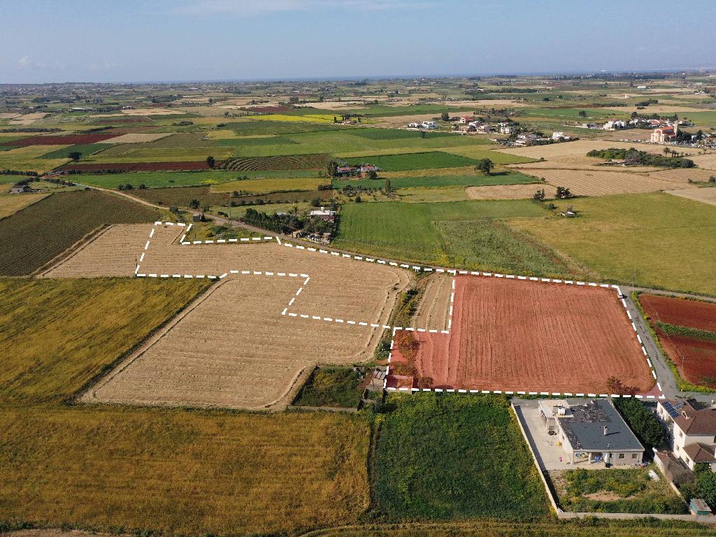 Field (Share) - Avgorou, Famagusta