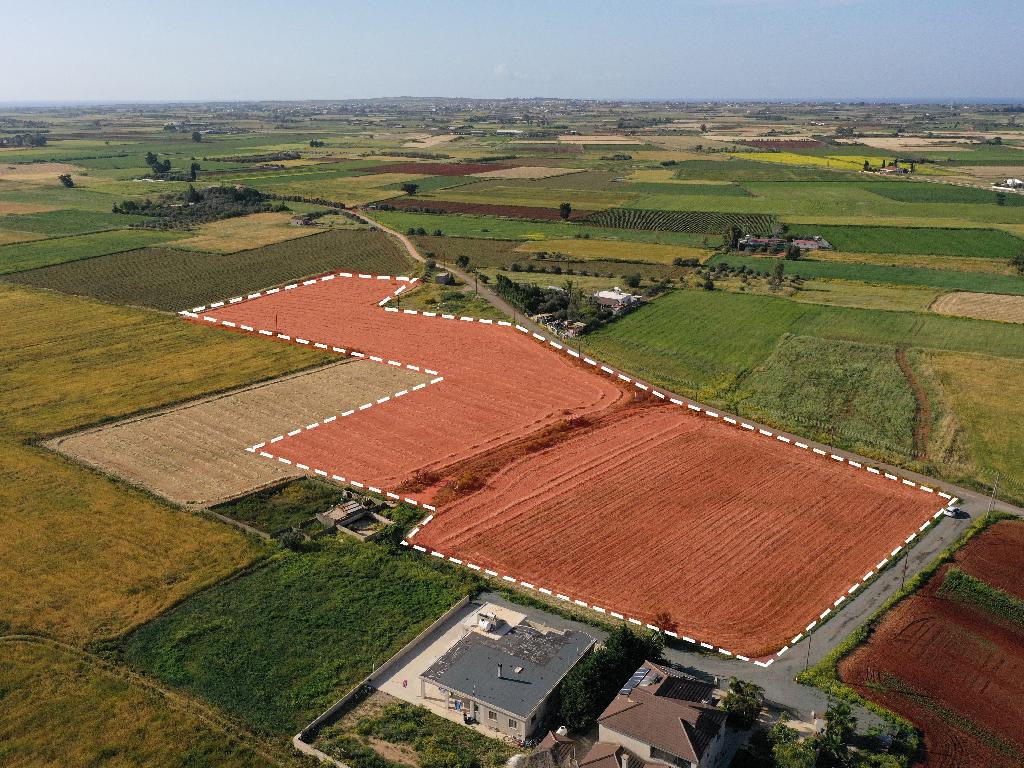 Field (Share) - Avgorou, Famagusta