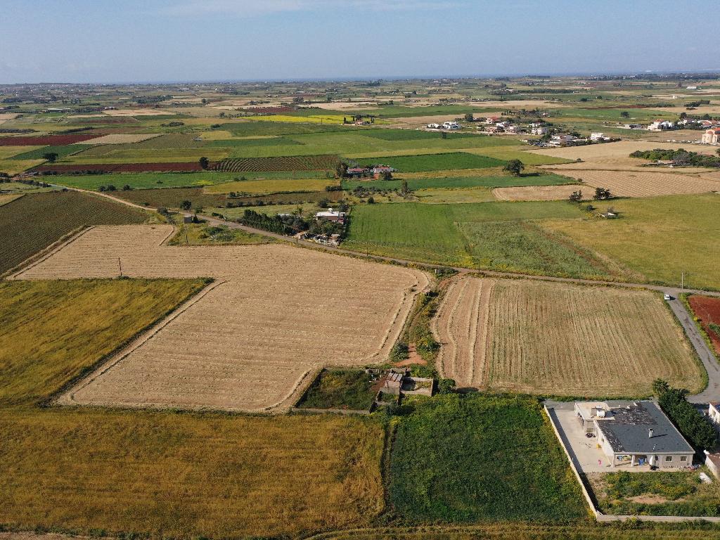 Field (Share) - Avgorou, Famagusta