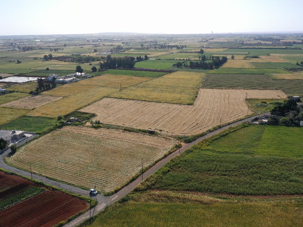 Field (Share) - Avgorou, Famagusta