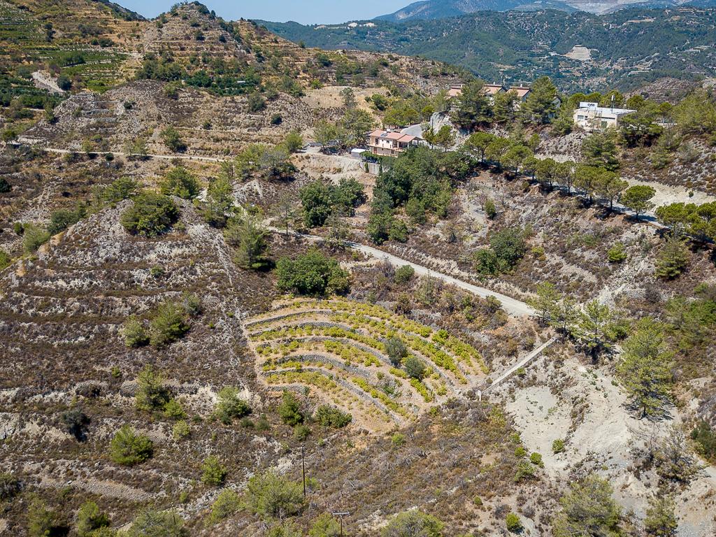 Field-Agros-PR37359