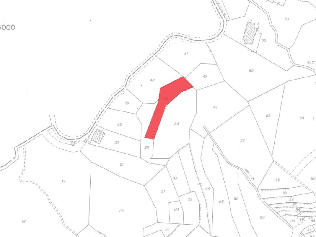 Field-Agros-PR37359
