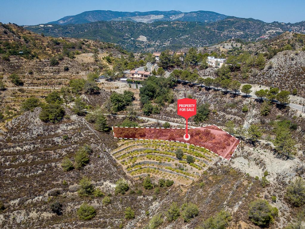 Field-Agros-PR37359