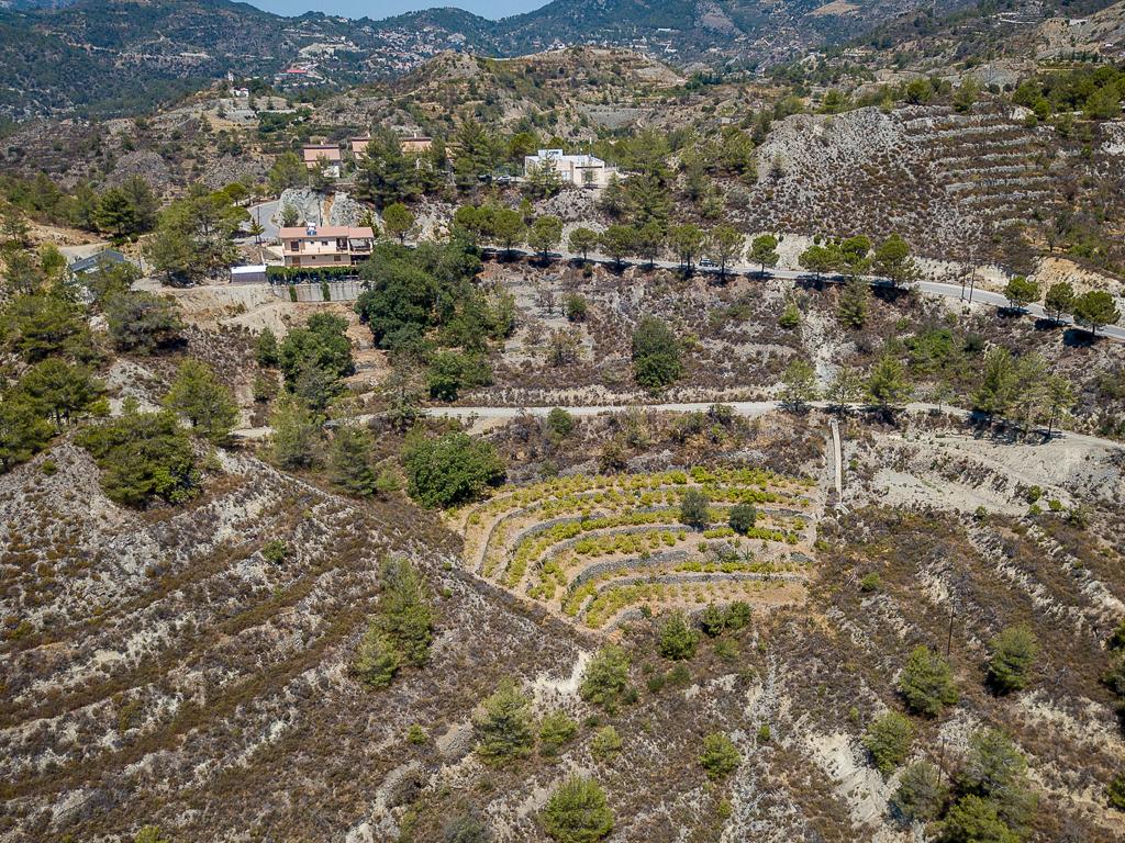 Field-Agros-PR37359