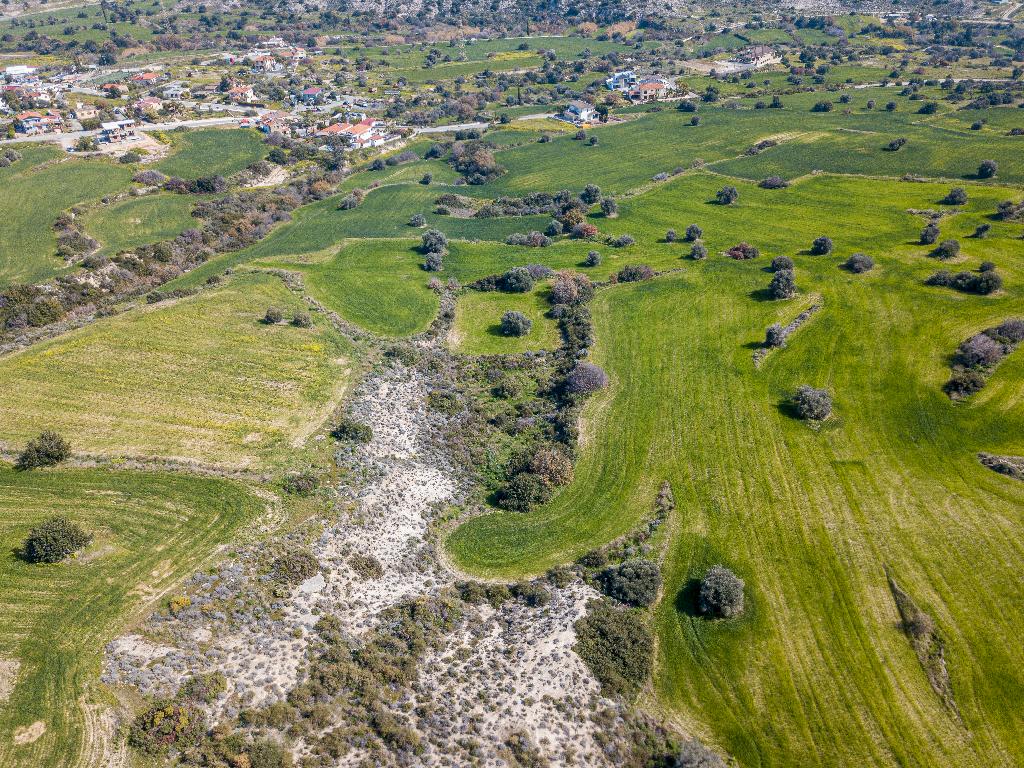 Field - Tochni, Larnaca